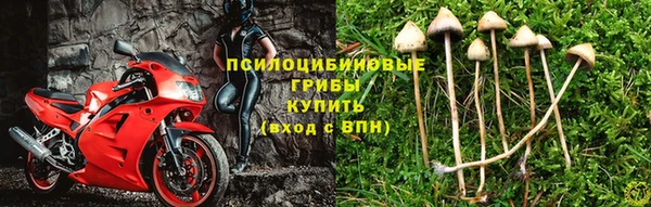 прущие крисы Красноперекопск