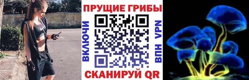 Галлюциногенные грибы MAGIC MUSHROOMS  hydra как зайти  Углич 