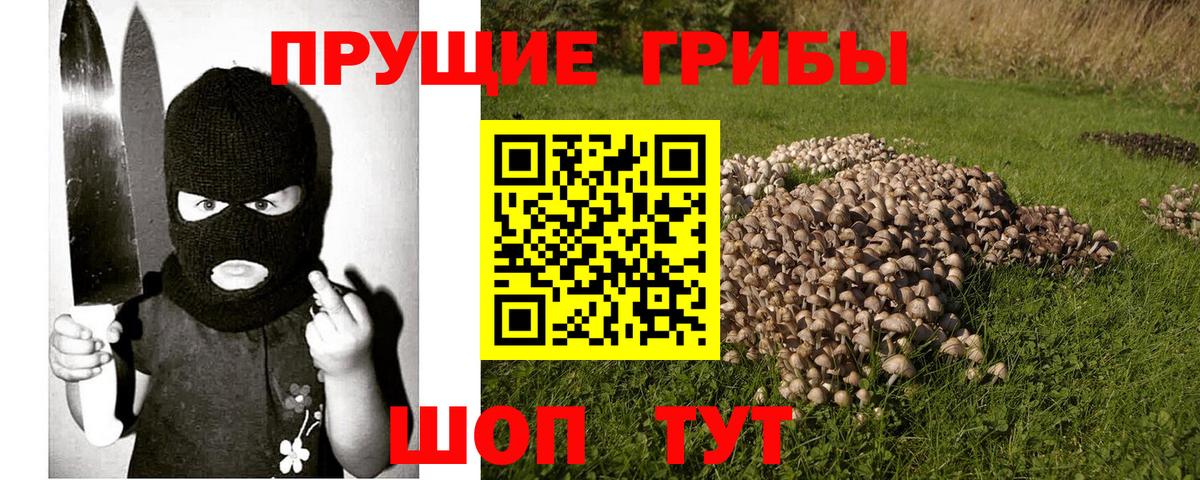 Псилоцибиновые грибы GOLDEN TEACHER  Вход с VPN  Углич 