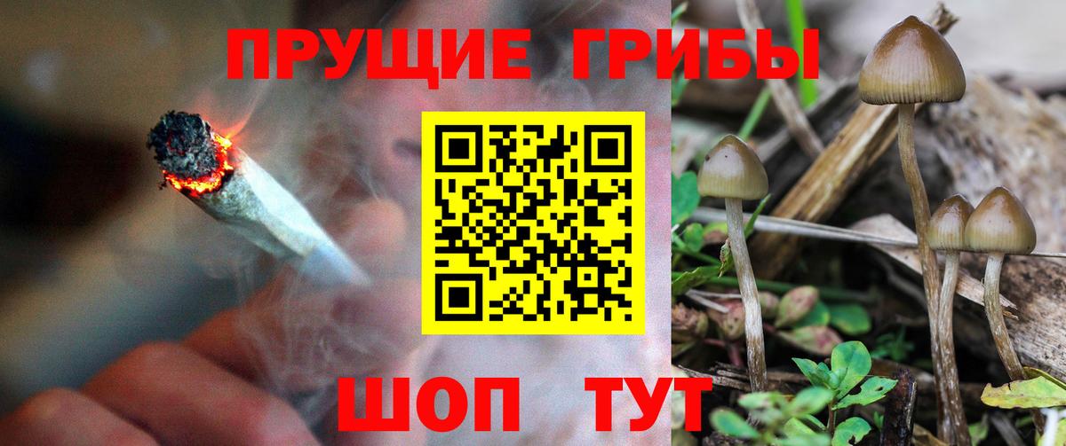 Галлюциногенные грибы мицелий Углич